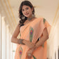 Peach Morpankh Hand painted saree