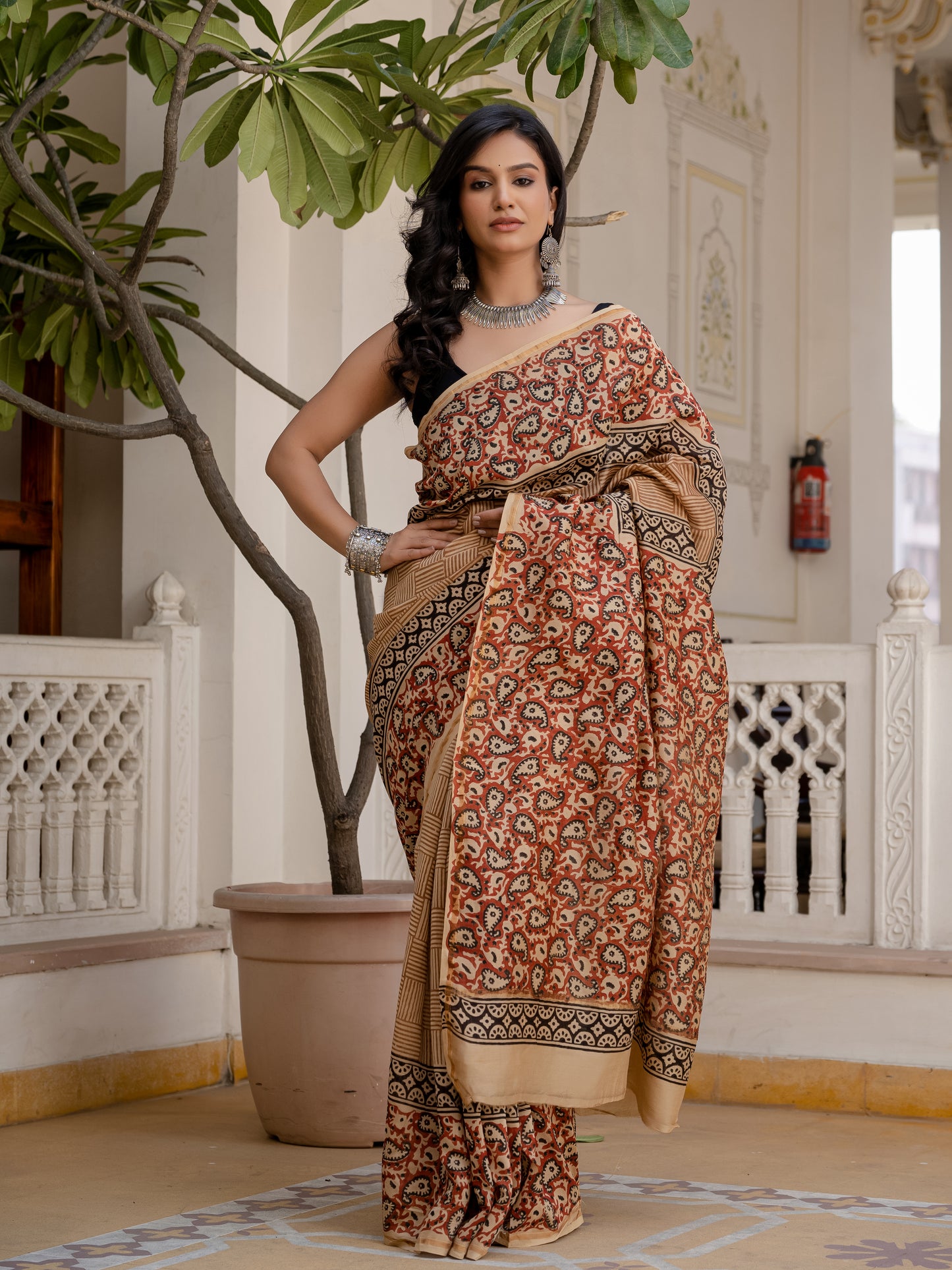 Bagru Jaal Printed Chanderi Silk Saree