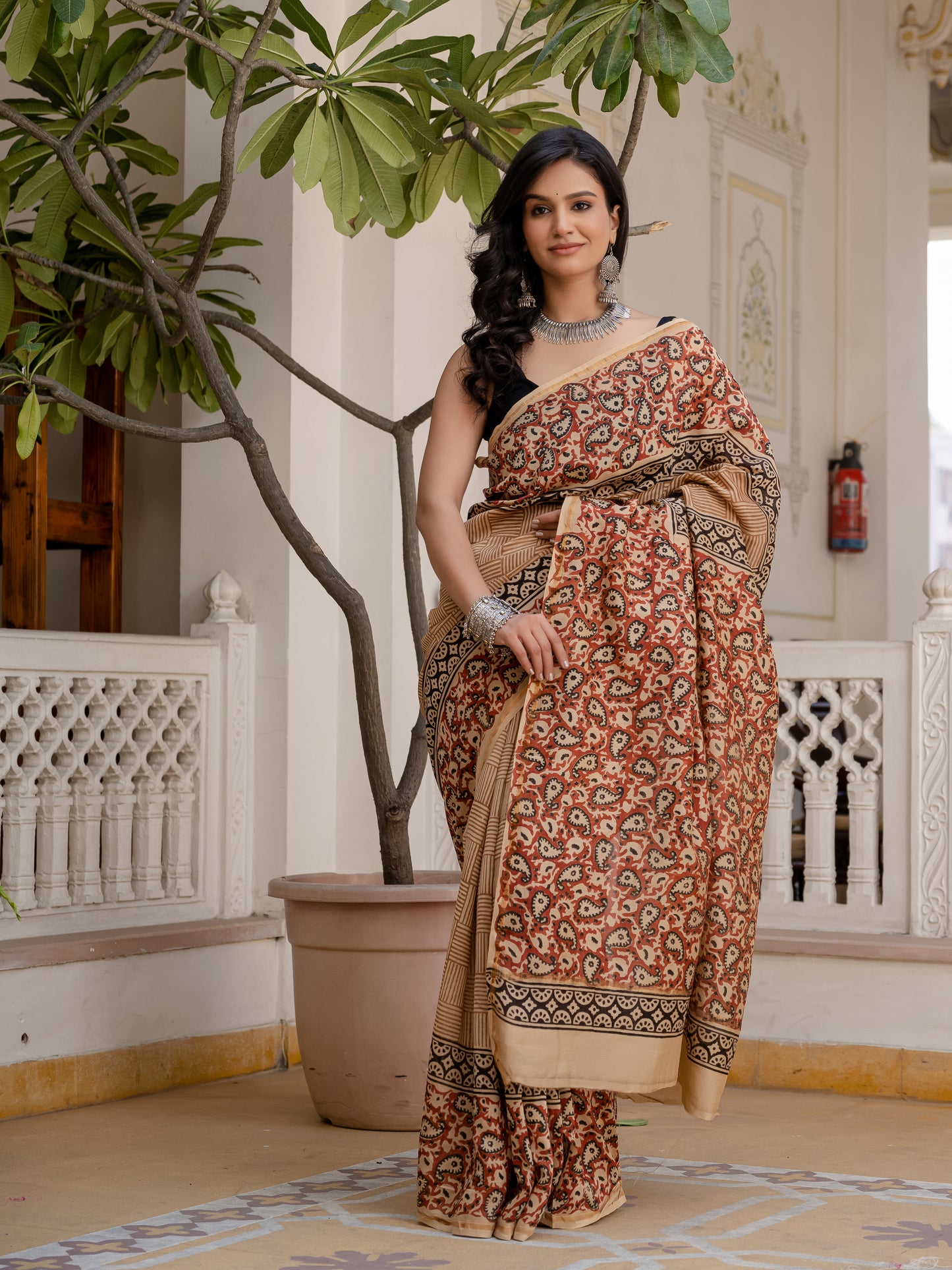 Bagru Jaal Printed Chanderi Silk Saree