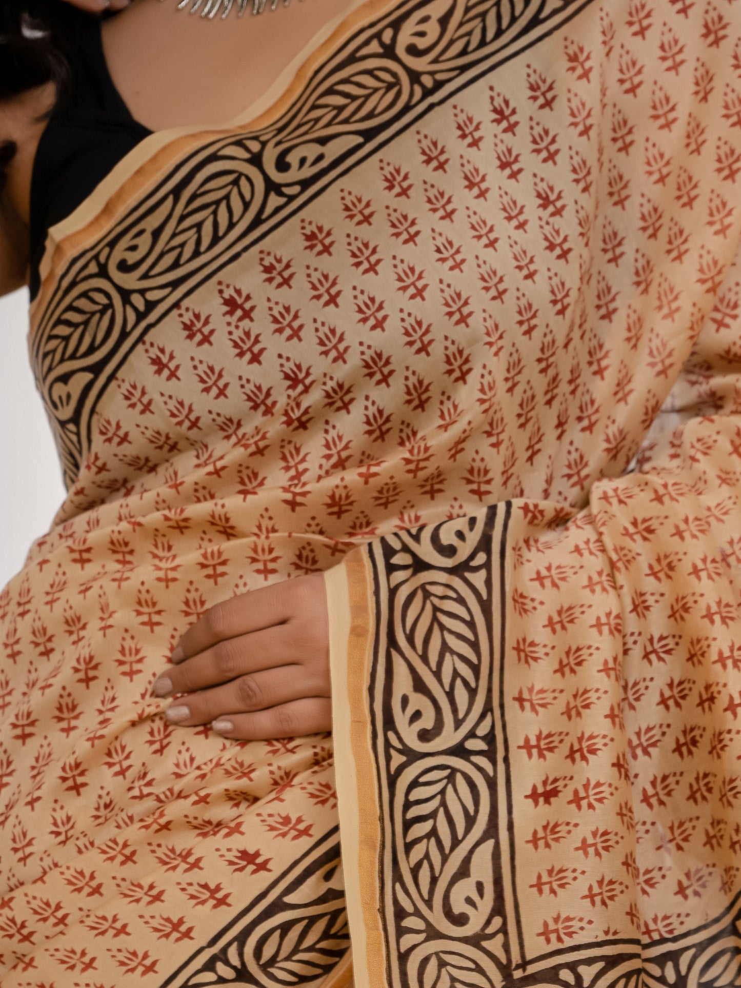 Bagh Printed Chanderi Silk Saree