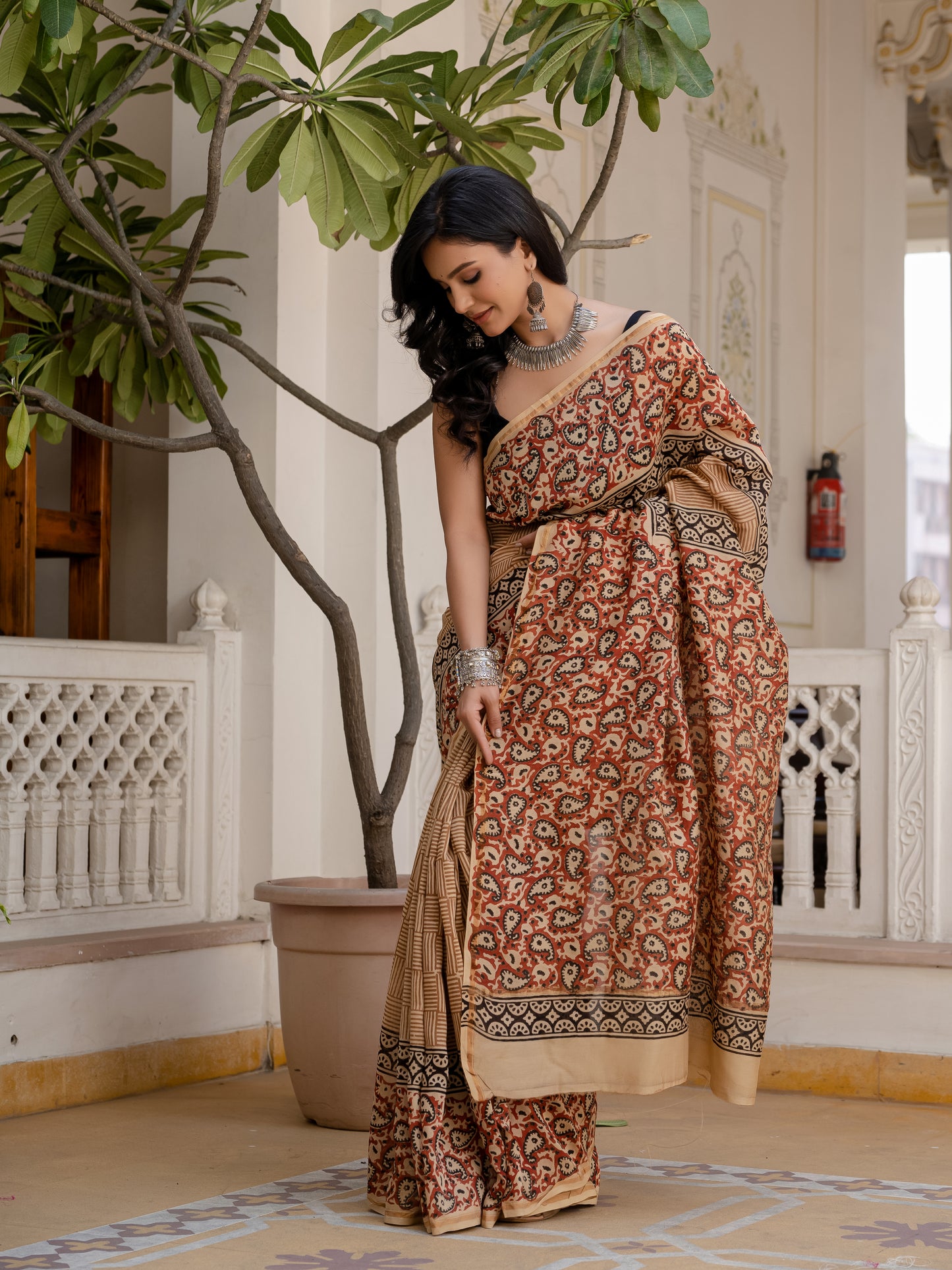 Bagru Jaal Printed Chanderi Silk Saree